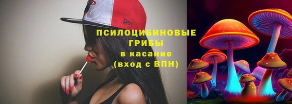 гашик Армянск