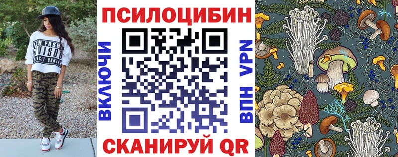 Псилоцибиновые грибы Psilocybe  Кущёвская 